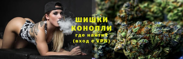 сатива Няндома