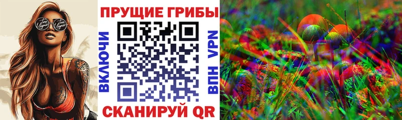 Псилоцибиновые грибы Psilocybe  цена наркотик  Вышний Волочёк 